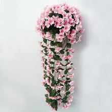 Last inn bildet i Galleri-visningsprogrammet, Violetter Blumenampel der Simulation