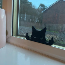 Last inn bildet i Galleri-visningsprogrammet, Rude Cat langfinger prank