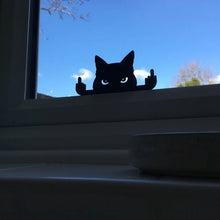 Last inn bildet i Galleri-visningsprogrammet, Rude Cat langfinger prank