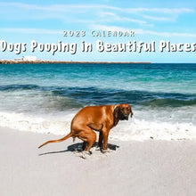 Last inn bildet i Galleri-visningsprogrammet, Pooping Pooches Hundekalender