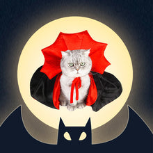 Last inn bildet i Galleri-visningsprogrammet, Halloween Dracula kjæledyrkostyme