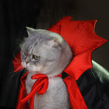 Last inn bildet i Galleri-visningsprogrammet, Halloween Dracula kjæledyrkostyme