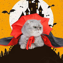 Last inn bildet i Galleri-visningsprogrammet, Halloween Dracula kjæledyrkostyme