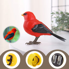 Last inn bildet i Galleri-visningsprogrammet, Stemmekontroll simuleringsfugl