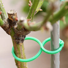 Last inn bildet i Galleri-visningsprogrammet, Hage-plante holder klips