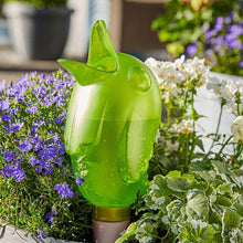 Last inn bildet i Galleri-visningsprogrammet, Automatisk vanningsenhet for planter i småfugldesign