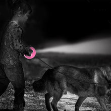 Last inn bildet i Galleri-visningsprogrammet, Uttrekkbart hunde-autotrekkbånd med LED-nattlys