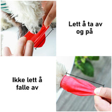 Last inn bildet i Galleri-visningsprogrammet, Vanntette hundesko for potebeskyttelse