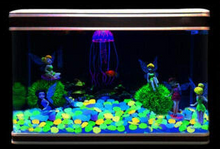 Last inn bildet i Galleri-visningsprogrammet, Glødende stein