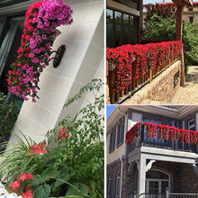 Last inn bildet i Galleri-visningsprogrammet, Violetter Blumenampel der Simulation