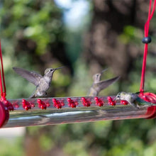 Last inn bildet i Galleri-visningsprogrammet, Hengende Hummingbird-mater