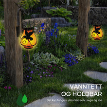 Last inn bildet i Galleri-visningsprogrammet, Delikat Sol-celle Hagelanterne