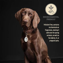 Last inn bildet i Galleri-visningsprogrammet, Ultrasonic Flea & Tick Repeller