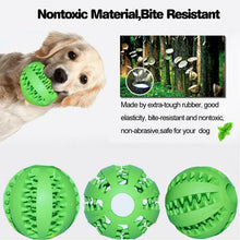 Last inn bildet i Galleri-visningsprogrammet, Dog Chewing Rubber Ball