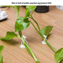 Last inn bildet i Galleri-visningsprogrammet, Klatreplante veggklemmer