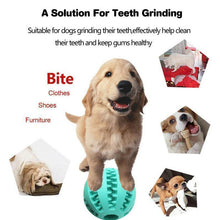 Last inn bildet i Galleri-visningsprogrammet, Dog Chewing Rubber Ball