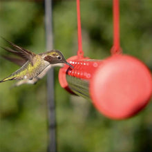 Last inn bildet i Galleri-visningsprogrammet, Hengende Hummingbird-mater