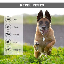 Last inn bildet i Galleri-visningsprogrammet, Ultrasonic Flea & Tick Repeller