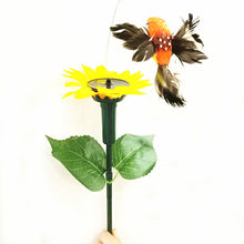 Last inn bildet i Galleri-visningsprogrammet, Dancing Hummingbird With Sunflower