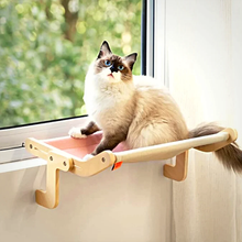 Last inn bildet i Galleri-visningsprogrammet, Vindus katt hengende seng