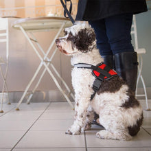 Last inn bildet i Galleri-visningsprogrammet, Reflective all-in-one No Pull Dog Harness