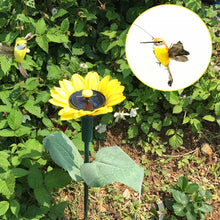 Last inn bildet i Galleri-visningsprogrammet, Dancing Hummingbird With Sunflower