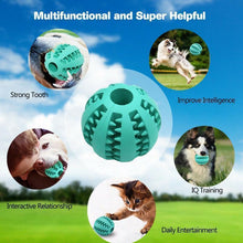 Last inn bildet i Galleri-visningsprogrammet, Dog Chewing Rubber Ball