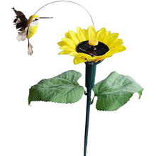 Last inn bildet i Galleri-visningsprogrammet, Dancing Hummingbird With Sunflower