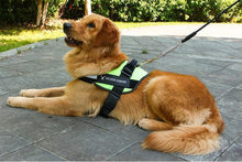 Last inn bildet i Galleri-visningsprogrammet, Reflective all-in-one No Pull Dog Harness
