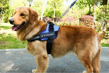 Last inn bildet i Galleri-visningsprogrammet, Reflective all-in-one No Pull Dog Harness
