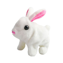 Last inn bildet i Galleri-visningsprogrammet, Bunny Toys Pedagogiske interaktive leker
