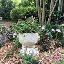 Last inn bildet i Galleri-visningsprogrammet, Funny Expression Flowerpot
