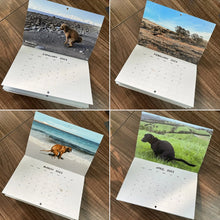 Last inn bildet i Galleri-visningsprogrammet, Pooping Pooches Hundekalender
