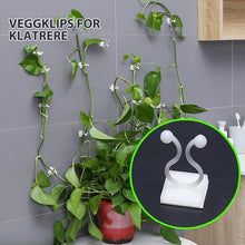 Last inn bildet i Galleri-visningsprogrammet, Klatreplante veggklemmer
