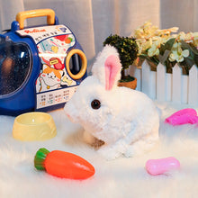 Last inn bildet i Galleri-visningsprogrammet, Bunny Toys Pedagogiske interaktive leker
