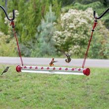 Last inn bildet i Galleri-visningsprogrammet, Hengende Hummingbird-mater

