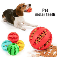 Last inn bildet i Galleri-visningsprogrammet, Dog Chewing Rubber Ball
