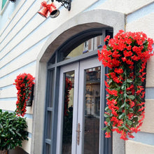 Last inn bildet i Galleri-visningsprogrammet, Violetter Blumenampel der Simulation
