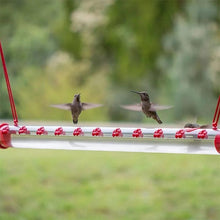 Last inn bildet i Galleri-visningsprogrammet, Hengende Hummingbird-mater
