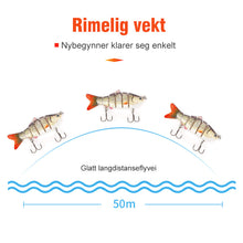 Last inn bildet i Galleri-visningsprogrammet, Simulering fiske lokke fiskeverktøy
