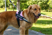 Last inn bildet i Galleri-visningsprogrammet, Reflective all-in-one No Pull Dog Harness

