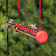 Last inn bildet i Galleri-visningsprogrammet, Hengende Hummingbird-mater
