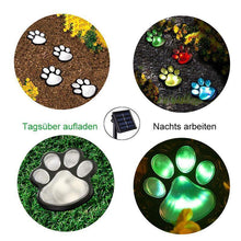 Last inn bildet i Galleri-visningsprogrammet, Bärenklauen Solar Gartenlicht
