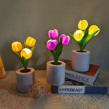 Last inn bildet i Galleri-visningsprogrammet, LED oppladbart tulipan nattlys
