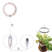 Last inn bildet i Galleri-visningsprogrammet, Vekstlys for potteplanter
