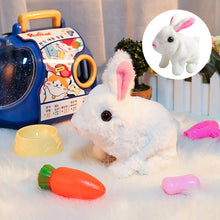 Last inn bildet i Galleri-visningsprogrammet, Bunny Toys Pedagogiske interaktive leker

