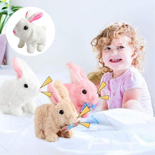 Last inn bildet i Galleri-visningsprogrammet, Bunny Toys Pedagogiske interaktive leker
